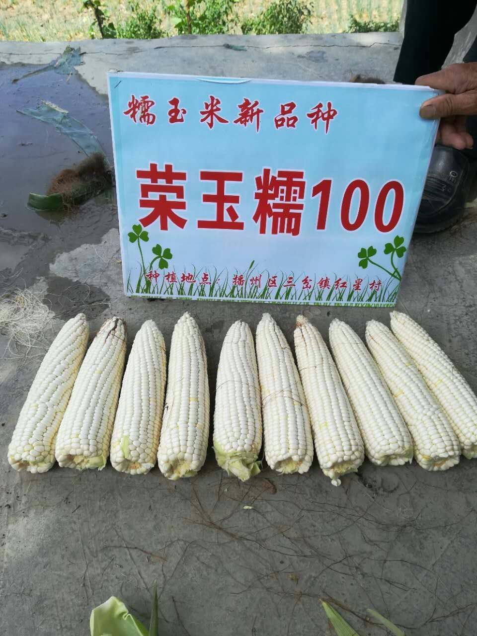 30A04