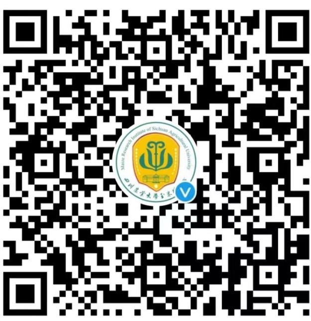 美狮贵宾会ms0922021